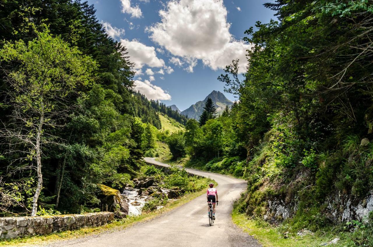 Pyrenees Cycling Lodge Saint-Savin  Екстериор снимка